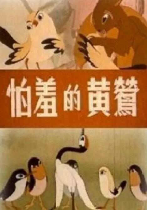 性视频一级