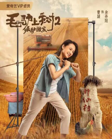 危险的小姨子
