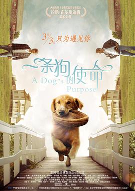 《贱妻媛媛》全文阅读