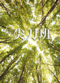 中文久久激情