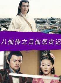 ckplayer国内精品